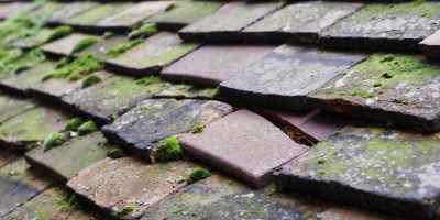 Lower Gravenhurst roof repair costs